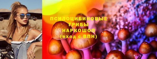 стафф Арсеньев