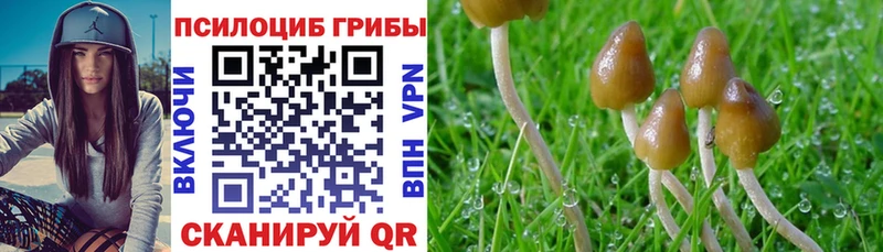 Псилоцибиновые грибы MAGIC MUSHROOMS  Славгород 