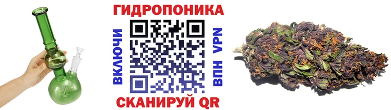 Каннабис Amnesia  гидра   Славгород 